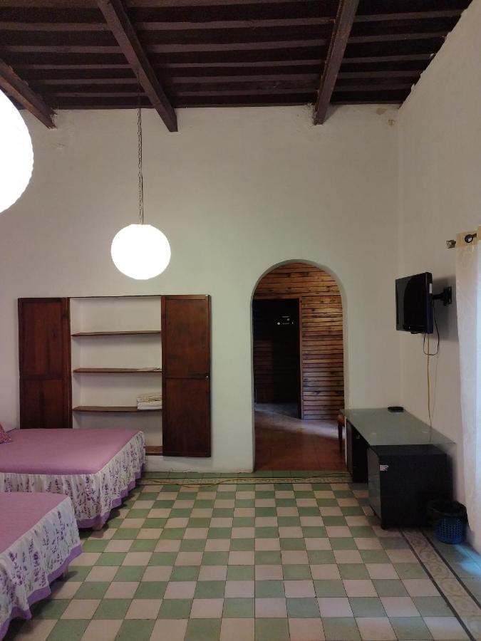 Lele Panchito Y Lavanda Juntos En El Centro Querétaro Zewnętrze zdjęcie