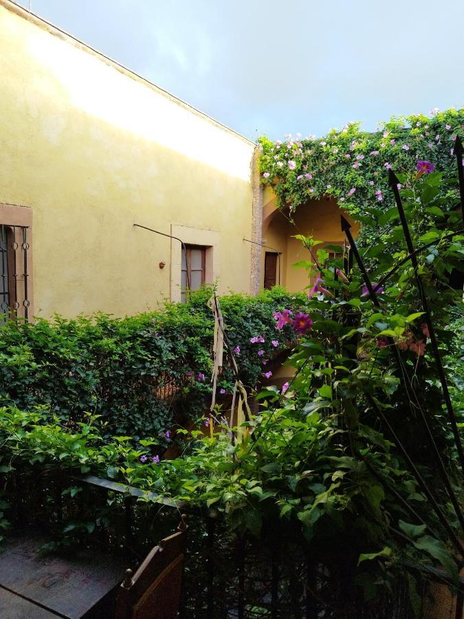 Lele Panchito Y Lavanda Juntos En El Centro Querétaro Zewnętrze zdjęcie