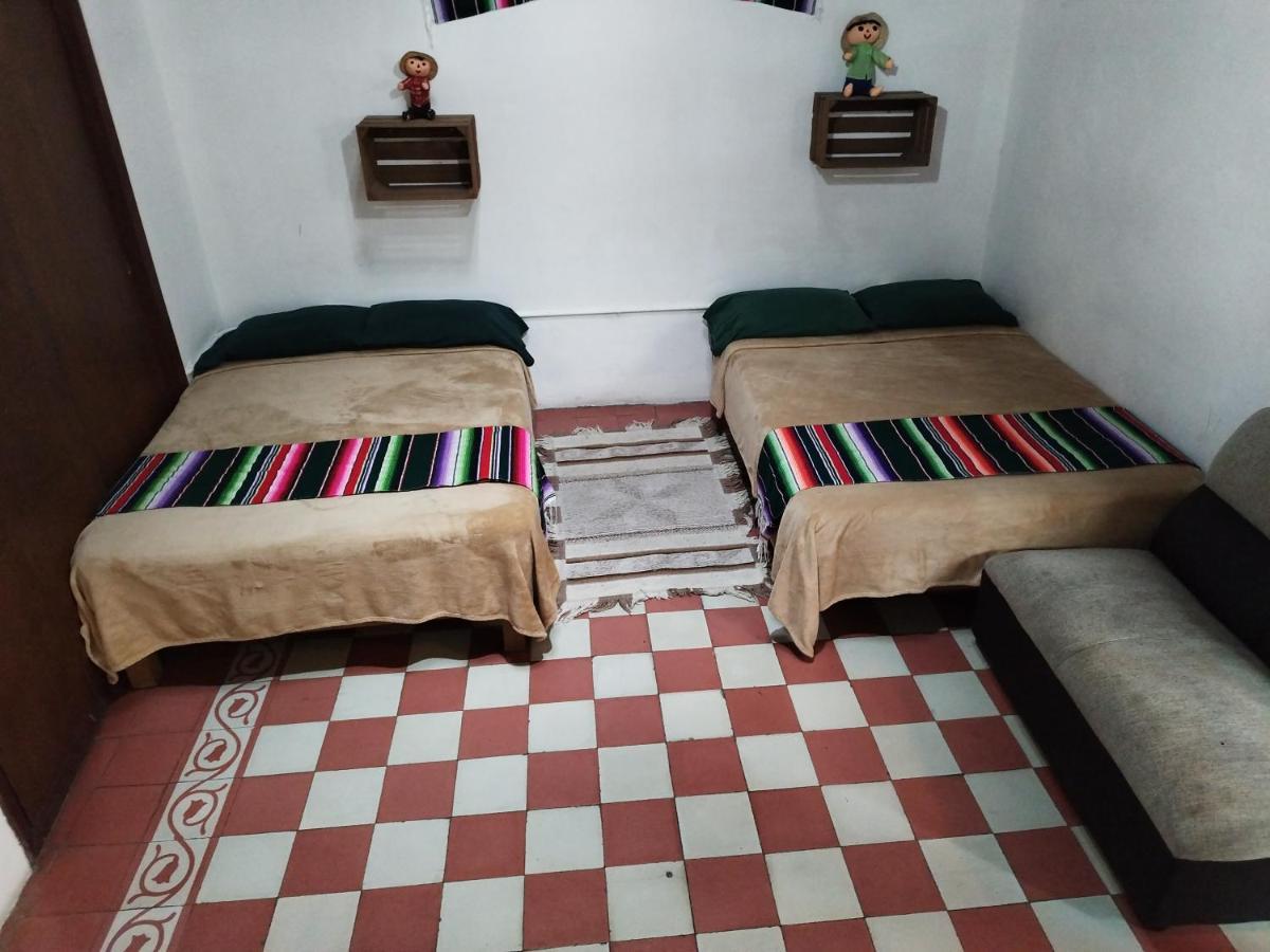 Lele Panchito Y Lavanda Juntos En El Centro Querétaro Zewnętrze zdjęcie