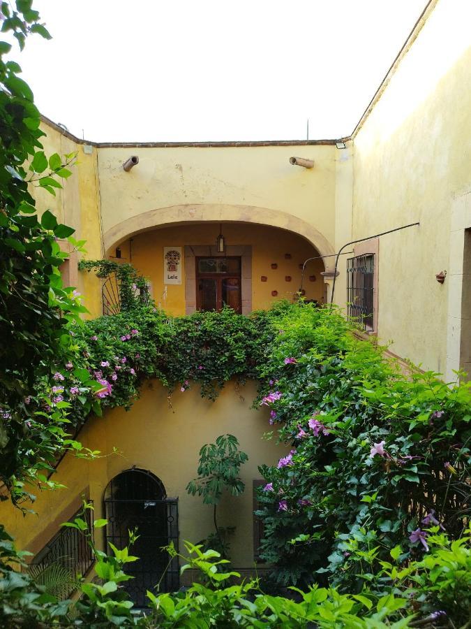 Lele Panchito Y Lavanda Juntos En El Centro Querétaro Zewnętrze zdjęcie