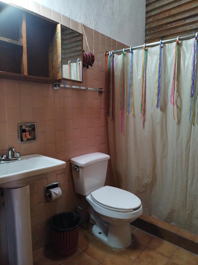 Lele Panchito Y Lavanda Juntos En El Centro Querétaro Zewnętrze zdjęcie
