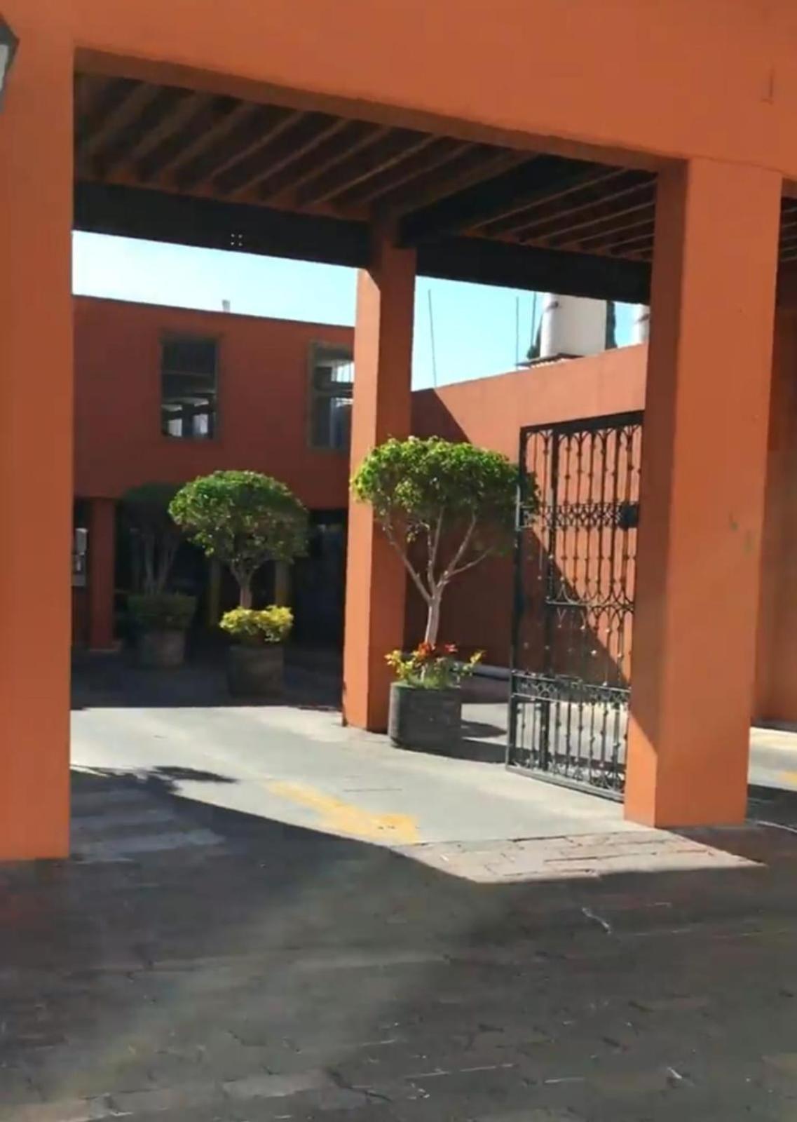 Lele Panchito Y Lavanda Juntos En El Centro Querétaro Zewnętrze zdjęcie