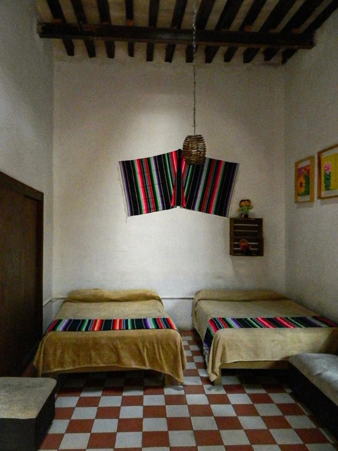 Lele Panchito Y Lavanda Juntos En El Centro Querétaro Zewnętrze zdjęcie