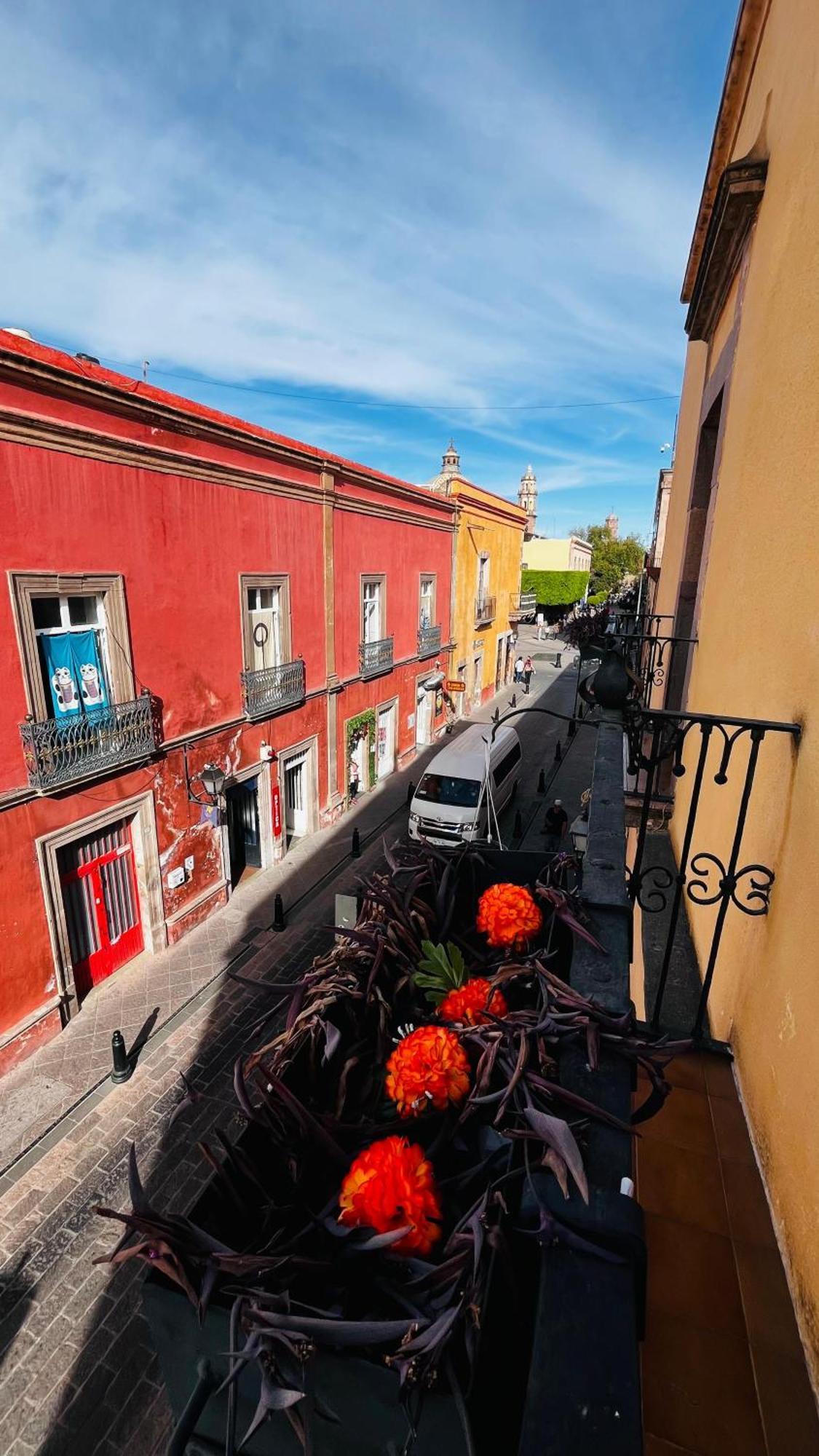 Lele Panchito Y Lavanda Juntos En El Centro Querétaro Zewnętrze zdjęcie