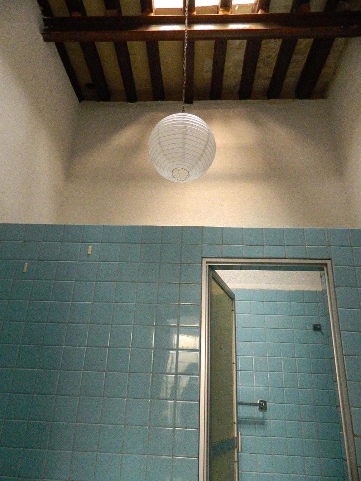 Lele Panchito Y Lavanda Juntos En El Centro Querétaro Zewnętrze zdjęcie