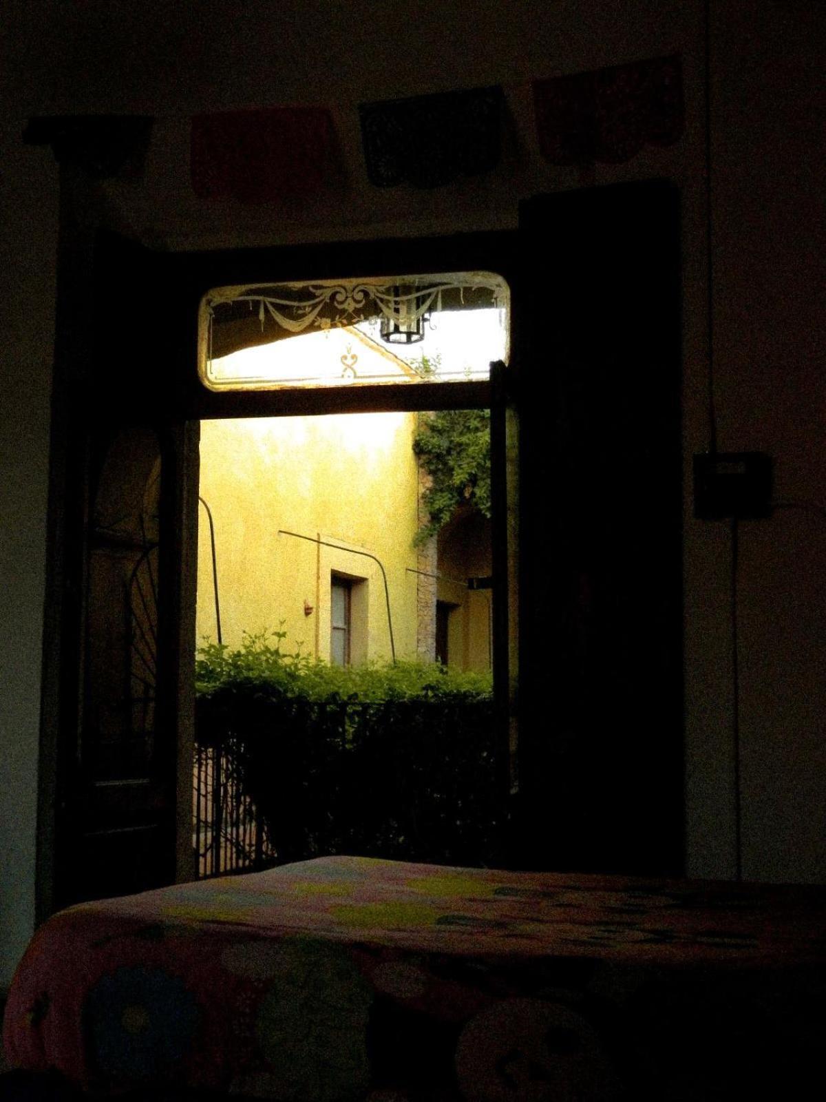 Lele Panchito Y Lavanda Juntos En El Centro Querétaro Zewnętrze zdjęcie