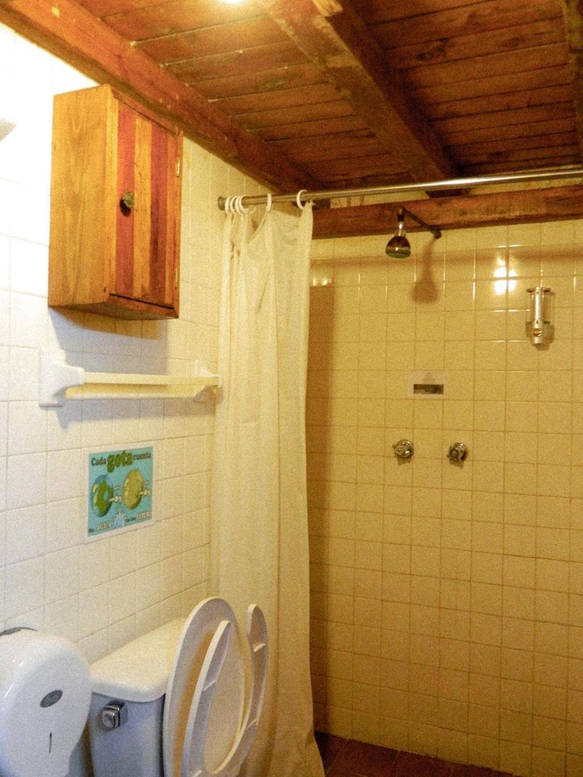 Lele Panchito Y Lavanda Juntos En El Centro Querétaro Zewnętrze zdjęcie
