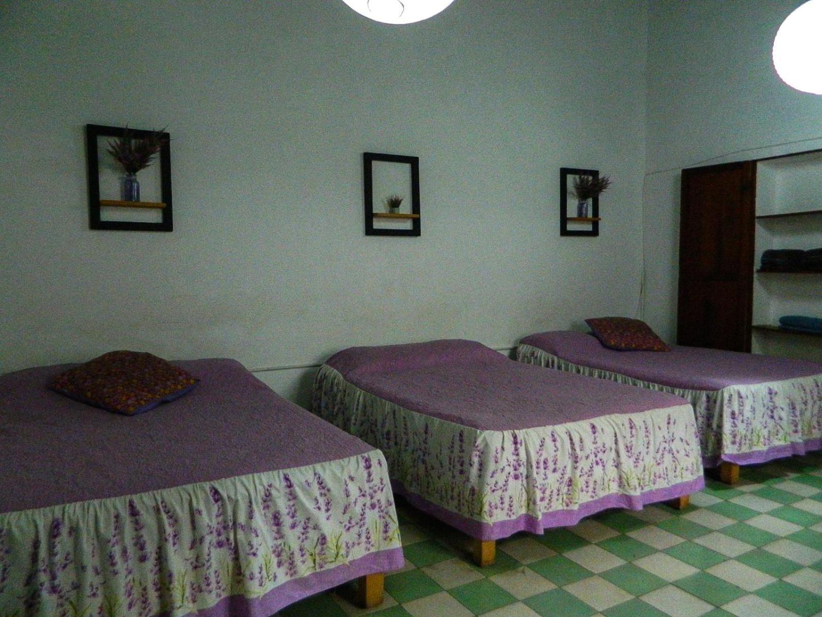 Lele Panchito Y Lavanda Juntos En El Centro Querétaro Zewnętrze zdjęcie