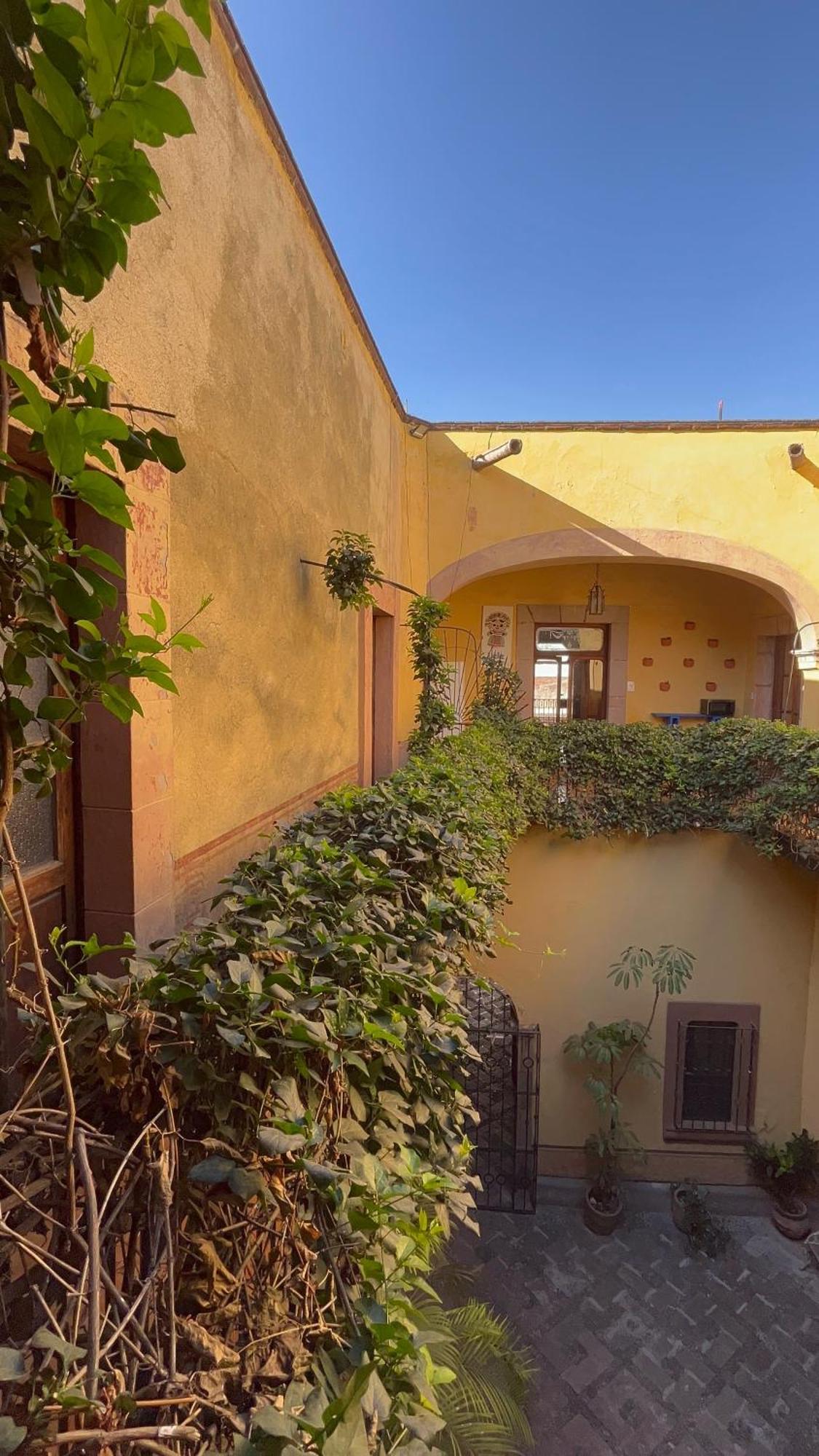 Lele Panchito Y Lavanda Juntos En El Centro Querétaro Zewnętrze zdjęcie